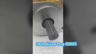 Hochwertige Getriebepumpe